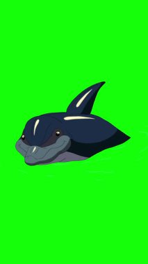 Çizgi film tarzı bir yunus. El yapımı 2D animasyon HD görüntüler yeşil ekranda izole edildi. Video düzenleme veya vahşi yaşam projeleri için dikey görüntüler