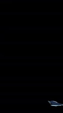 Çizgi film tarzı bir yunus. Alfa kanalında el yapımı 2D animasyon HD görüntüler izole edildi. Video düzenleme veya vahşi yaşam projeleri için dikey görüntüler