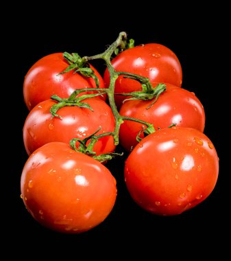 Sarmaşıkta duran taze, olgun domateslerin yakın plan fotoğrafı, siyah bir zemin üzerine kurulmuş, canlı kırmızı renklerini ve doğal dokusunu gözler önüne seriyor.