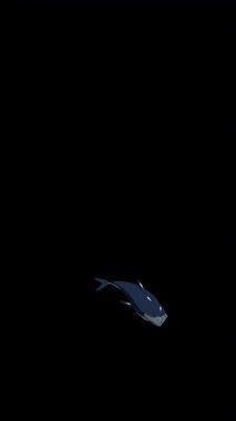 Çizgi film tarzı bir yunus. El yapımı 2D animasyon 4K görüntü alfa kanalında izole edildi. Video düzenleme veya vahşi yaşam projeleri için dikey görüntüler