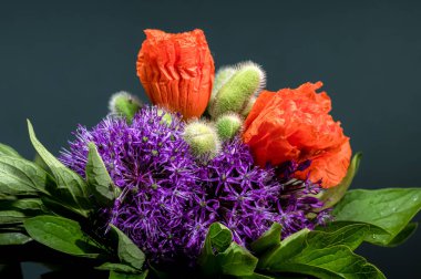 Mor Allium çiçekleri, turuncu lale ve dikenli dikenli dikenli dikenli dikenli dikenli çiçeklerin yer aldığı çiçeklerin renkli bir yakın çekimi.