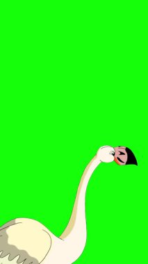 Beyaz Flamingo. El yapımı 2D animasyon HD görüntüler yeşil ekranda izole edildi. Video düzenleme, vahşi yaşam projeleri veya kuş temalı yaratıcı çalışmalar için dikey görüntüler