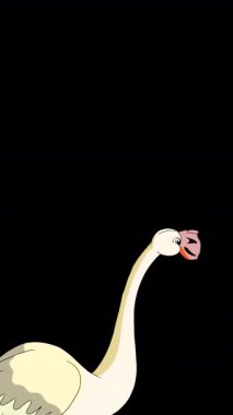 Beyaz Flamingo. Alfa kanalında el yapımı 2D animasyon HD görüntüler izole edildi. Video düzenleme, vahşi yaşam projeleri veya kuş temalı yaratıcı çalışmalar için dikey görüntüler