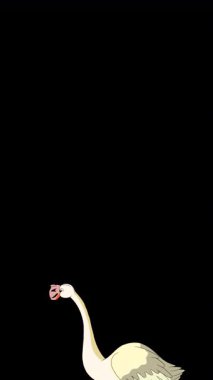 Beyaz Flamingo. El yapımı 2D animasyon 4K görüntü alfa kanalında izole edildi. Video düzenleme, vahşi yaşam projeleri veya kuş temalı yaratıcı çalışmalar için dikey görüntüler