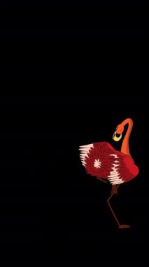 Kızıl Flamingo. Alfa kanalında el yapımı 2D animasyon HD görüntüler izole edildi. Video düzenleme, vahşi yaşam projeleri veya kuş temalı yaratıcı çalışmalar için dikey görüntüler