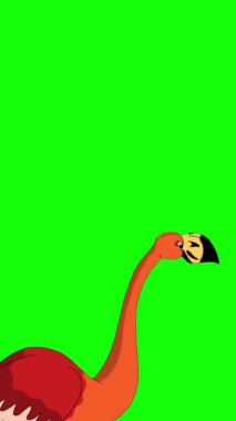 Kızıl Flamingo. El yapımı 2D animasyon HD görüntüler yeşil ekranda izole edildi. Video düzenleme, vahşi yaşam projeleri veya kuş temalı yaratıcı çalışmalar için dikey görüntüler