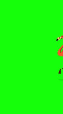 Kızıl Flamingo. El yapımı 2D animasyon HD görüntüler yeşil ekranda izole edildi. Video düzenleme, vahşi yaşam projeleri veya kuş temalı yaratıcı çalışmalar için dikey görüntüler