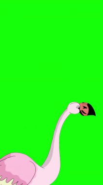Pembe Flamingo. El yapımı 2D animasyon HD görüntüler yeşil ekranda izole edildi. Video düzenleme, vahşi yaşam projeleri veya kuş temalı yaratıcı çalışmalar için dikey görüntüler