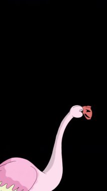 Pembe Flamingo. Alfa kanalında el yapımı 2D animasyon HD görüntüler izole edildi. Video düzenleme, vahşi yaşam projeleri veya kuş temalı yaratıcı çalışmalar için dikey görüntüler