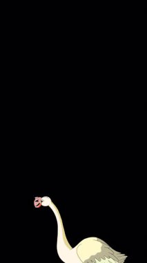 Pembe Flamingo. El yapımı 2D animasyon 4K görüntü alfa kanalında izole edildi. Video düzenleme, vahşi yaşam projeleri veya kuş temalı yaratıcı çalışmalar için dikey görüntüler