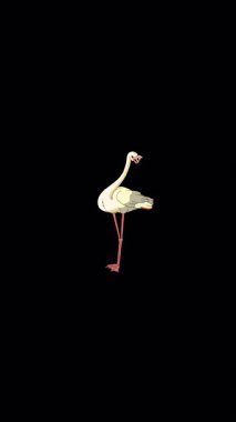 Pembe Flamingo. El yapımı 2D animasyon 4K görüntü alfa kanalında izole edildi. Video düzenleme, vahşi yaşam projeleri veya kuş temalı yaratıcı çalışmalar için dikey görüntüler