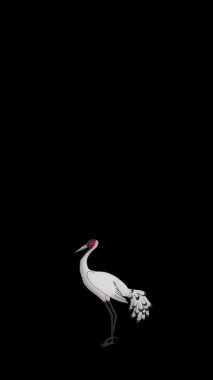 Beyaz vinç. Alfa kanalında el yapımı 2D animasyon HD görüntüler izole edildi. Video düzenleme, vahşi yaşam projeleri veya kuş temalı yaratıcı çalışmalar için dikey görüntüler