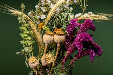 Kurumuş çiçeklerin, tüylü buğdayların ve özgün haşhaş tohumu başlarının karmaşık detayları koyu yeşil bir ortama karşı dokulu, doğal bir hayat yaratır.