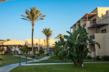 MMarsa Alam, Mısır 19.07.2025 - Mısır 'ın Marsa Alam kentindeki tropik bir tatil beldesinde altın gün batımı, palmiye ağaçları, yeşil çimenler ve deniz. Düzenleyici kullanımı