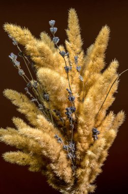 Bir buket kabarık, kurutulmuş altın çimen tüyü ve ince mavi lavanta gövdesiyle zengin, koyu kahverengi arka plan karışımının dikey görüntüsü.