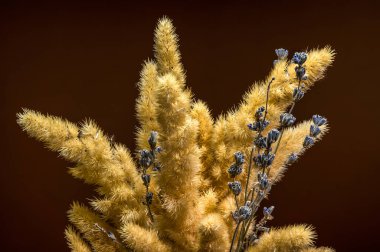 Bir buket kabarık, kurutulmuş altın çimen tüyü ve ince mavi lavanta gövdesiyle zengin, koyu kahverengi arka plan karışımının dikey görüntüsü.