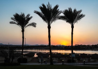 Marsa Alam, Mısır 19.07.2025, sakin bir göl ve tatil köyü üzerinde güneşi çevreleyen siluetli palmiye ağaçları ile canlı bir günbatımı sahnesi. Düzenleyici kullanımı