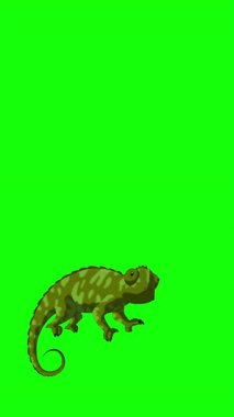 Green chameleon. Handmade 2D animated HD looped footage isolated on green screen. Vertical footage for video editing and wildlife projects
