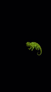 Green chameleon. Handmade 2D animated 4K looped footage isolated on alpha channel. Vertical footage for video editing and wildlife projects