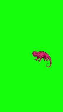 Red chameleon. Handmade 2D animated 4K looped footage isolated on green screen. Vertical footage for video editing and wildlife projects