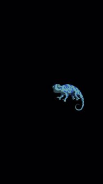 Blue chameleon. Handmade 2D animated 4K looped footage isolated on alpha channel. Vertical footage for video editing and wildlife projects