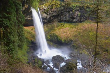 North Falls, Silver Falls Eyalet Parkı, Silverton, Oregon