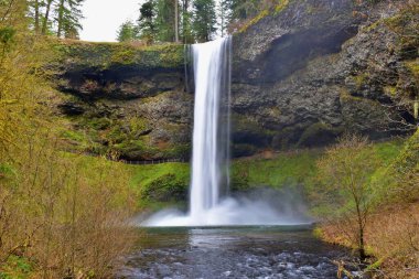South Falls 2, Silver Falls Eyalet Parkı, Silverton, Oregon