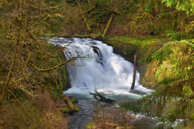 Twin Falls, Silver Falls Eyalet Parkı, Silverton, Oregon