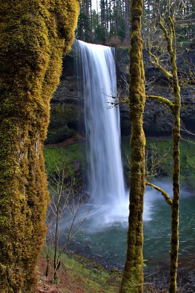 South Falls 1, Silver Falls Eyalet Parkı, Silverton, Oregon