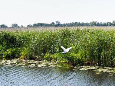 Elblag, Polonya: Su yolu ve çevre kırsal