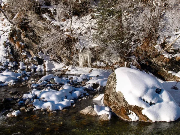 Savognin Ελβετία Χιόνι Και Παγετός Βελόνες Λόγω Έντονου Κρύου Εικόνα Αρχείου
