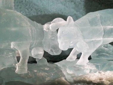 Zermatt, Switzerland: Matterhorn Glacier Paradise, visit of the exhibition inside the glacier.