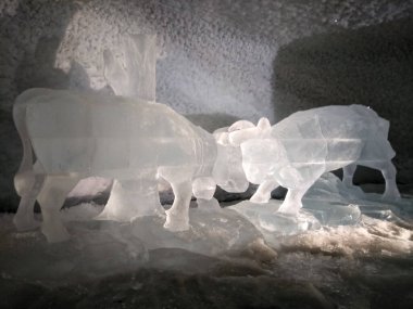 Zermatt, Switzerland: Matterhorn Glacier Paradise, visit of the exhibition inside the glacier.