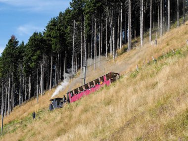 Monte Generoso, Switzerland: Monte Generoso railway, steam locomotive of 1890