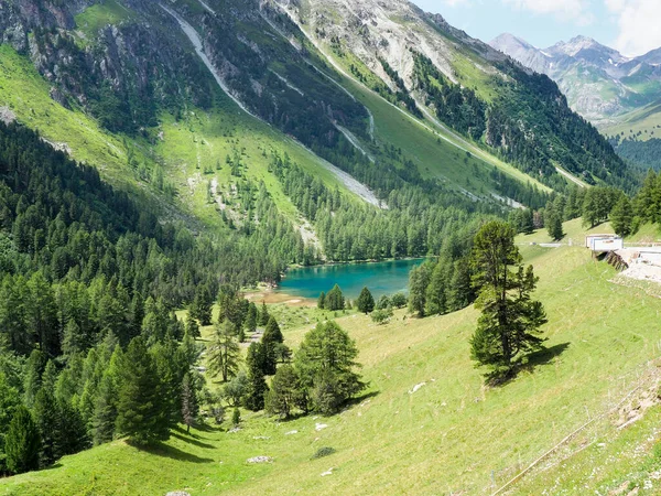 Albula Švýcarsko Července 2018 Horská Krajina Alpského Průsmyku — Stock fotografie