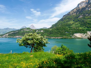 Ruetli, Switzerland: famous lawn of the federal pact