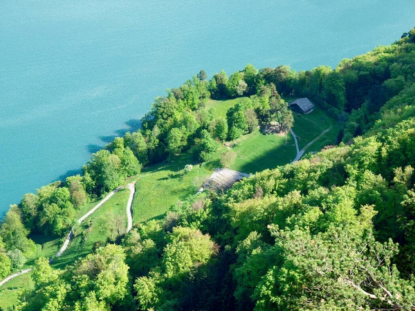Ruetli Switzerland Famous Lawn Federal Pact — Stock Photo, Image