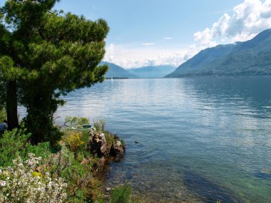 Brissago, İsviçre: Çiçekli ve doğal parklı botanik adası