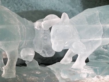 Zermatt, Switzerland: Matterhorn Glacier Paradise, visit of the exhibition inside the glacier.