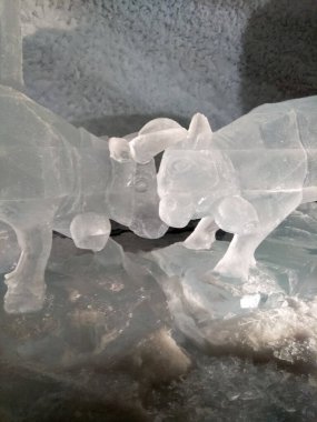 Zermatt, Switzerland: Matterhorn Glacier Paradise, visit of the exhibition inside the glacier.