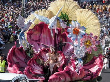 Tenerife, İspanya - mar 05, 2019: Santa Cruz de Tenerife sokaklarında ünlü karnaval festivali, vurmalı çalgıların ritmine uygun karakterler ve gruplar.