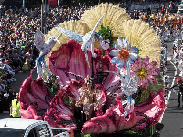 stock image Tenerife, Spain- mar 05, 2019: Famous Carnival Festival in the streets of Santa Cruz de Tenerife, characters and groups to the rhythm of percussion.