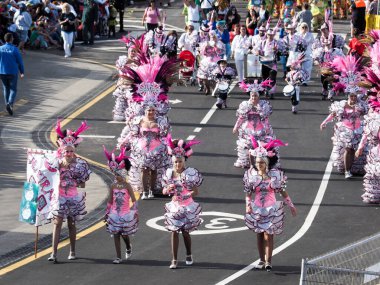 Tenerife, İspanya - mar 05, 2019: Santa Cruz de Tenerife sokaklarında ünlü karnaval festivali, vurmalı çalgıların ritmine uygun karakterler ve gruplar.