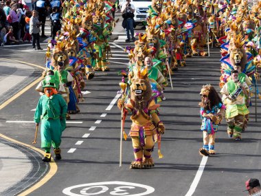 Tenerife, İspanya - mar 05, 2019: Santa Cruz de Tenerife sokaklarında ünlü karnaval festivali, vurmalı çalgıların ritmine uygun karakterler ve gruplar.
