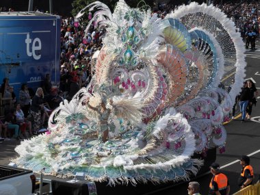 Tenerife, İspanya - mar 05, 2019: Santa Cruz de Tenerife sokaklarında ünlü karnaval festivali, vurmalı çalgıların ritmine uygun karakterler ve gruplar.