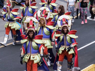 Tenerife, İspanya - mar 05, 2019: Santa Cruz de Tenerife sokaklarında ünlü karnaval festivali, vurmalı çalgıların ritmine uygun karakterler ve gruplar.