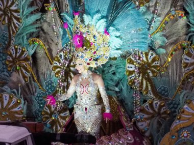 Tenerife, İspanya - mar 05, 2019: Santa Cruz de Tenerife sokaklarında ünlü karnaval festivali, vurmalı çalgıların ritmine uygun karakterler ve gruplar.