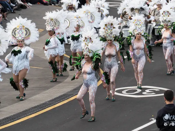 Tenerife, İspanya - mar 05, 2019: Santa Cruz de Tenerife sokaklarında ünlü karnaval festivali, vurmalı çalgıların ritmine uygun karakterler ve gruplar.