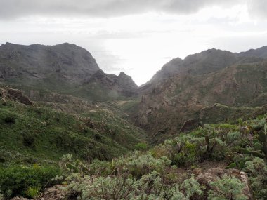 Tenerife, İspanya: Muhteşem Kanarya Adasının İç Bölgesi