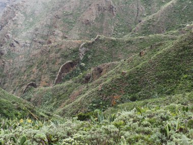 Tenerife, İspanya: Muhteşem Kanarya Adasının İç Bölgesi